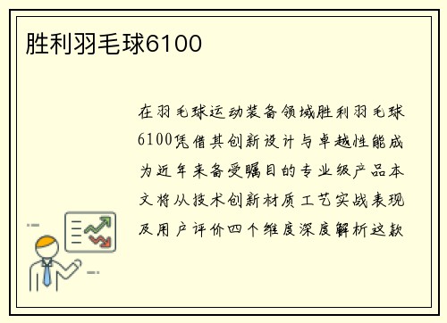 胜利羽毛球6100